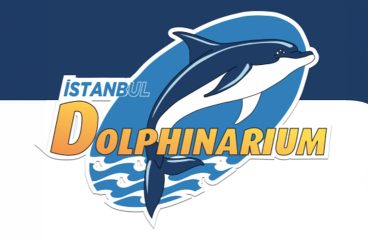 İstanbul Dolphinarium’da Yunuslarla Özel Yüzme Programı ve Gösteriler